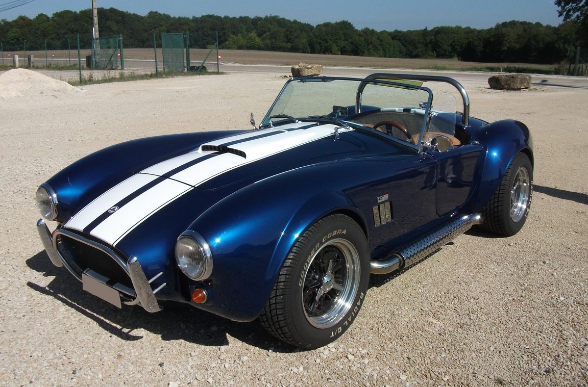 Cobra (1)