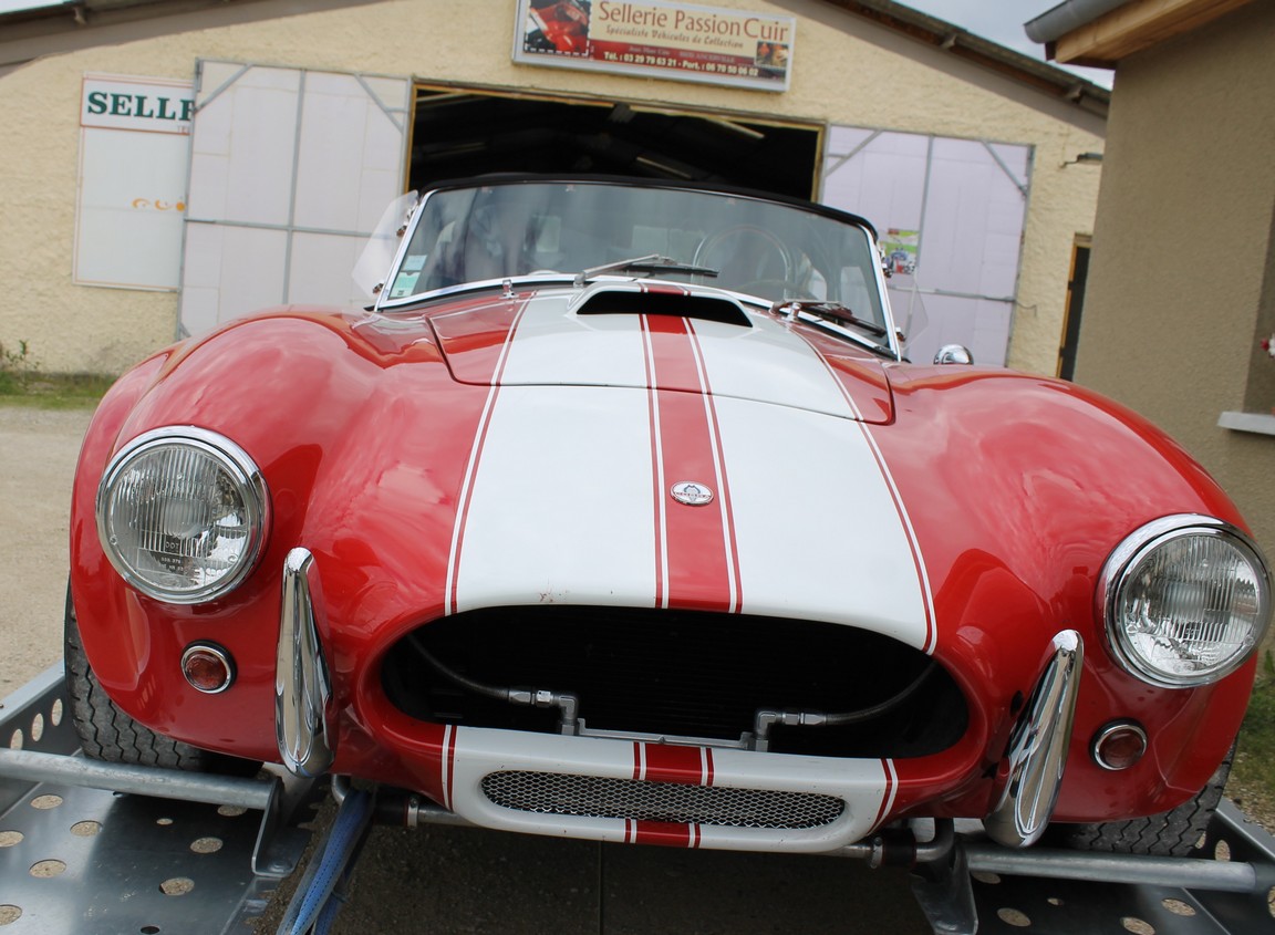 Cobra (2)