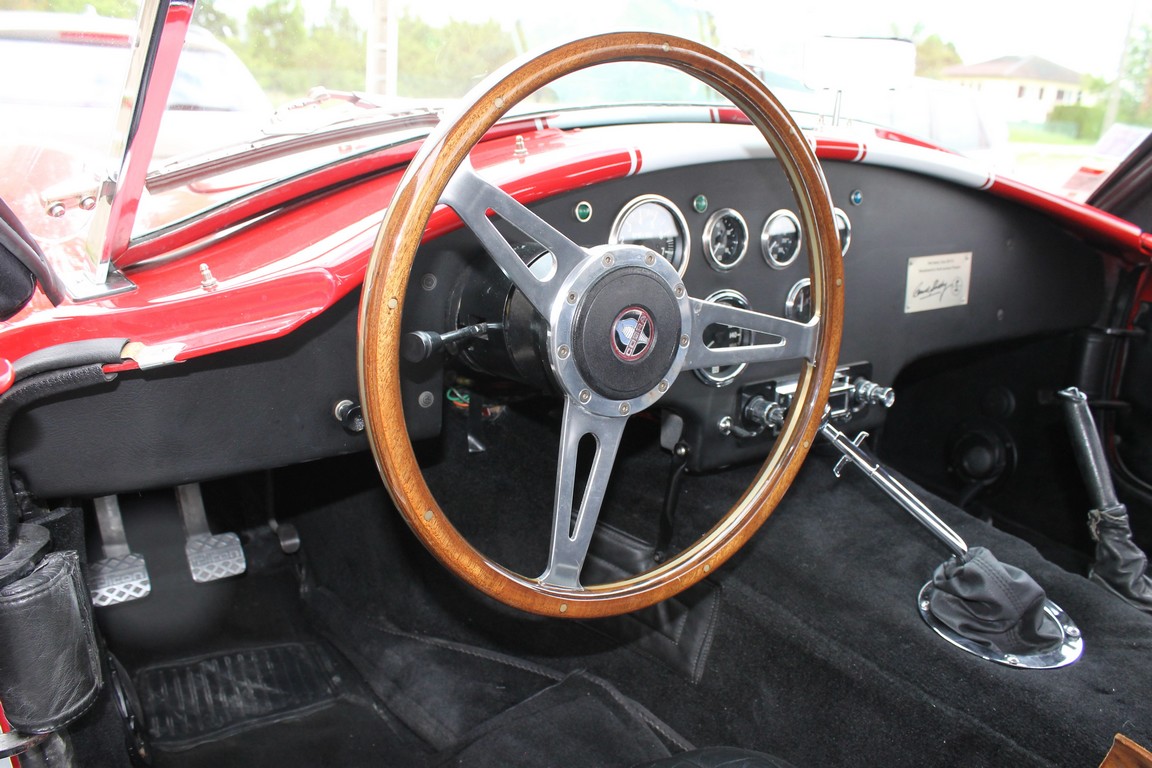 Cobra (7)
