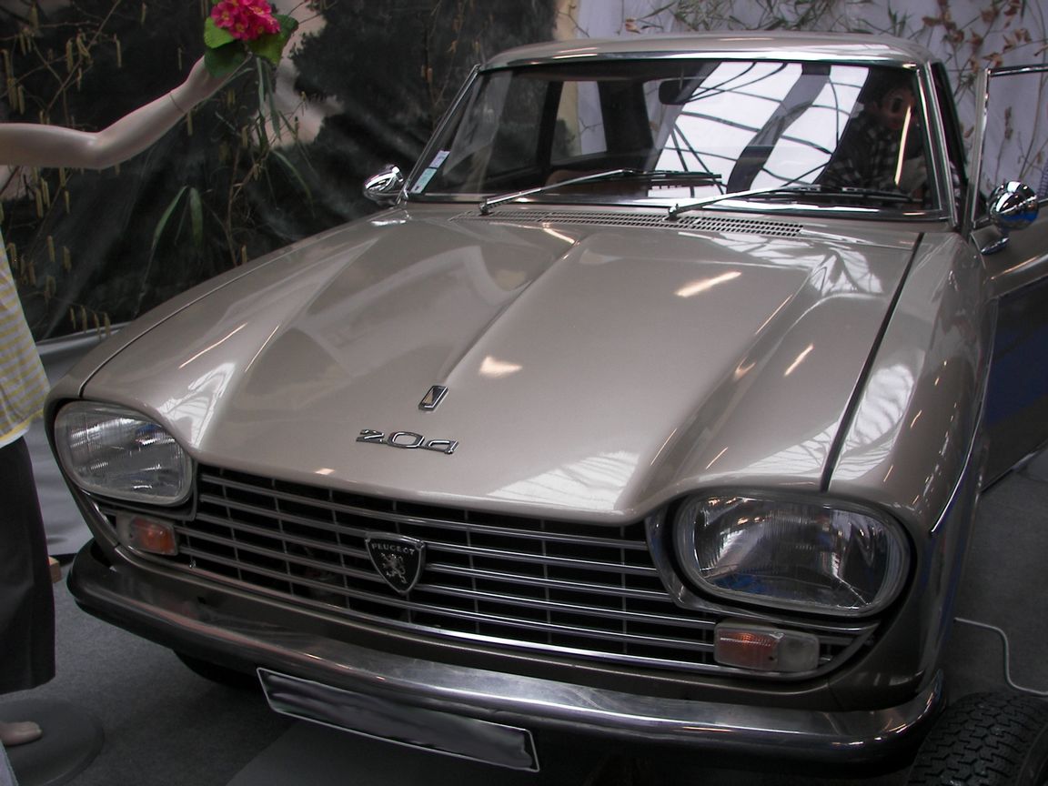 204 (3)
