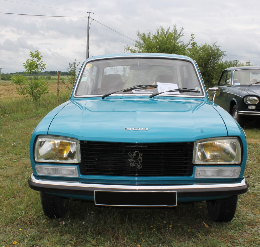 304 (1)