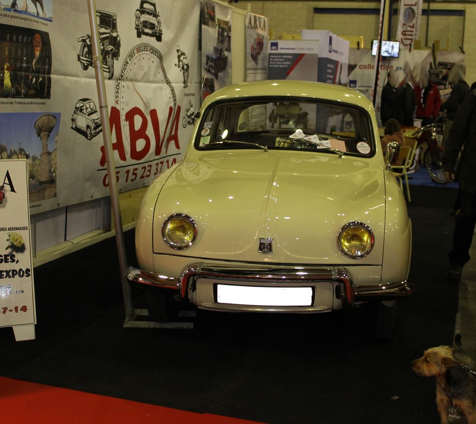 Dauphine (2)